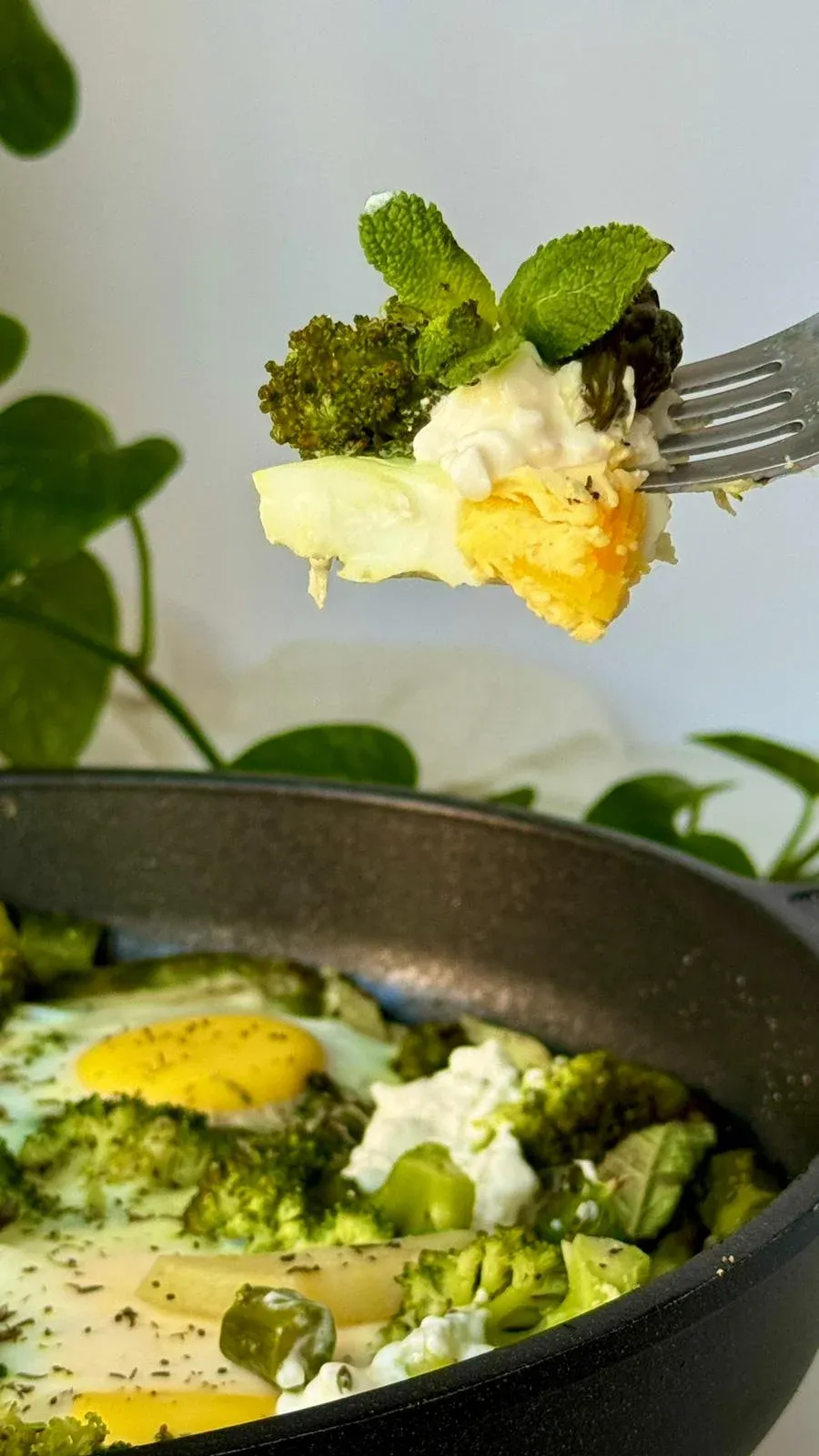 Green-Shakshuka2.webp