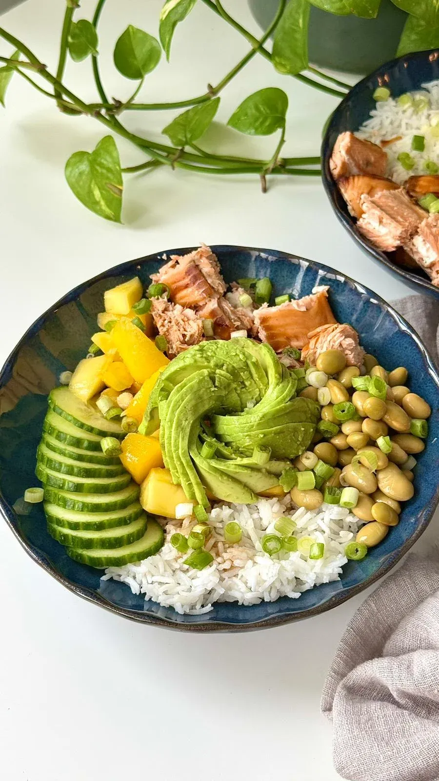 Salmon-Bowl3.webp